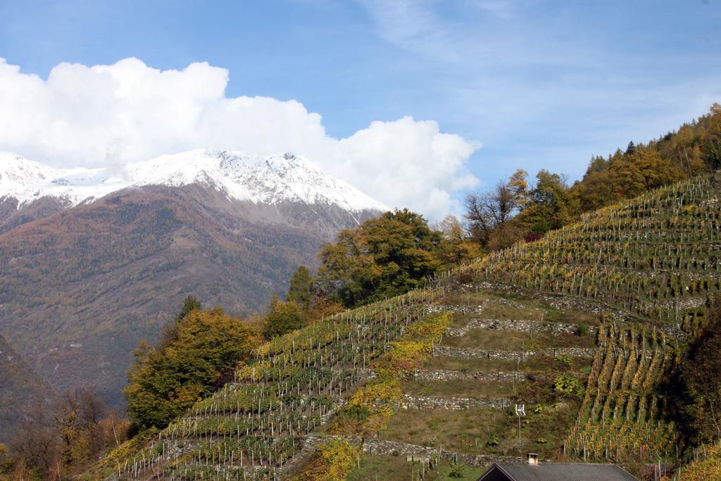 La Madonnina Διαμέρισμα Villa di Tirano Δωμάτιο φωτογραφία